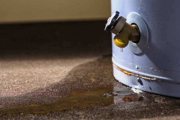  Perry, LA Water damage restoration Pros