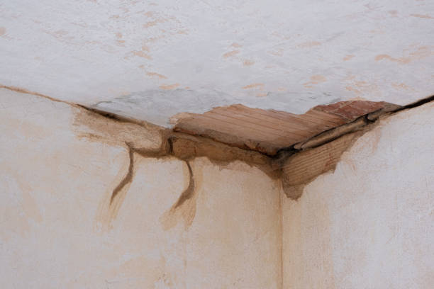 Best Fire Damage Restoration  in Perry, LA