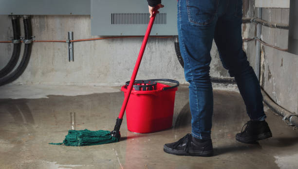Best Mold removal after water damage  in Perry, LA