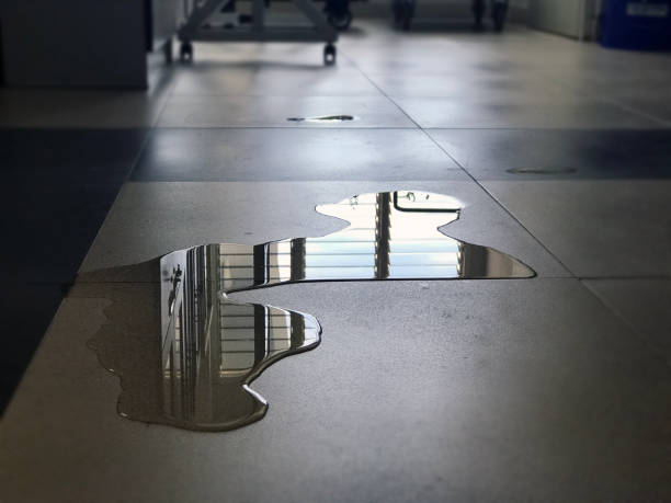Best 24/7 water damage repair  in Perry, LA
