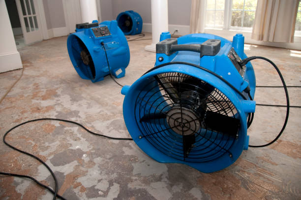 Best Flood damage cleanup  in Perry, LA