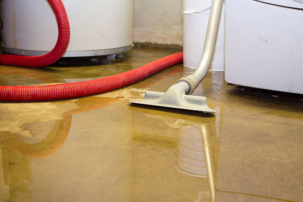 Best Flooded house restoration  in Perry, LA