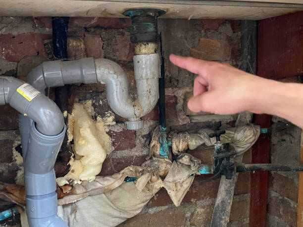 Best Flood damage cleanup  in Perry, LA