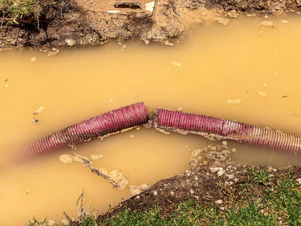Carpet water damage restoration in Perry, LA