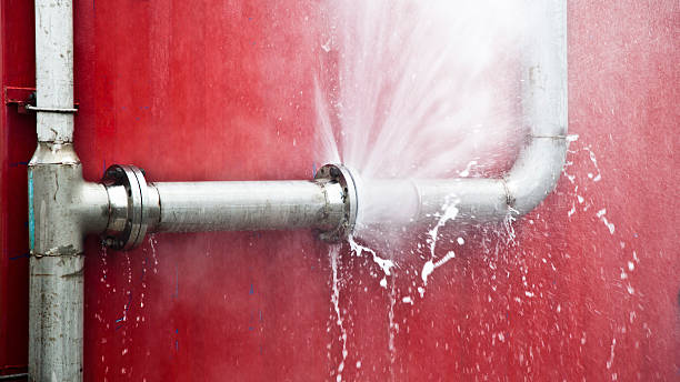 Best Flood restoration services  in Perry, LA